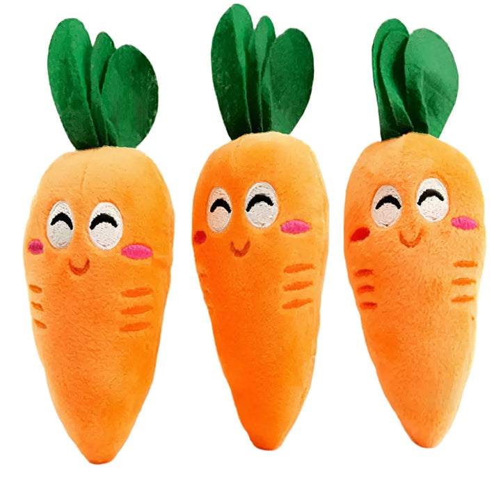 Carrot Pet Toy