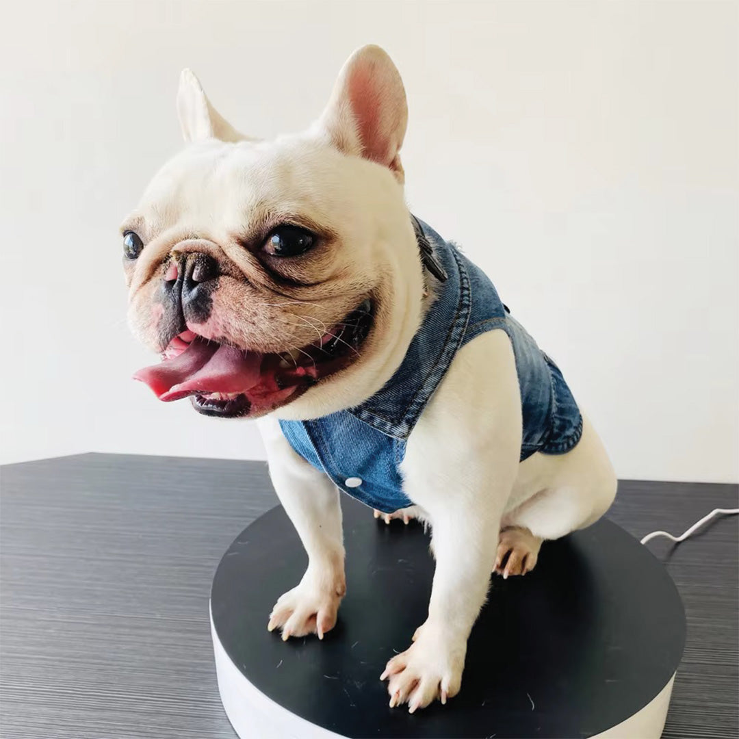 Bumble Bee Denim Dog Jacket