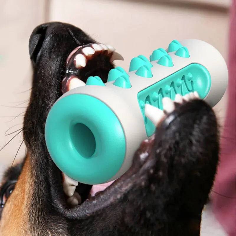 Dog Toy Teeth Cleaning Bone