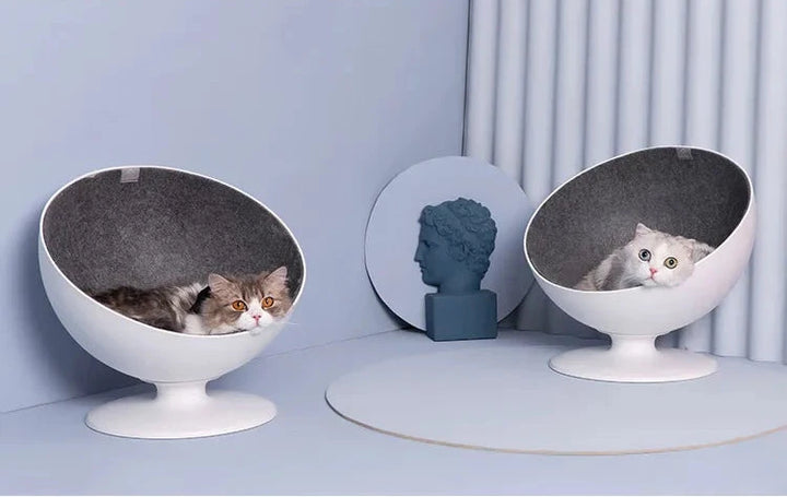 Rotating Cat Bed