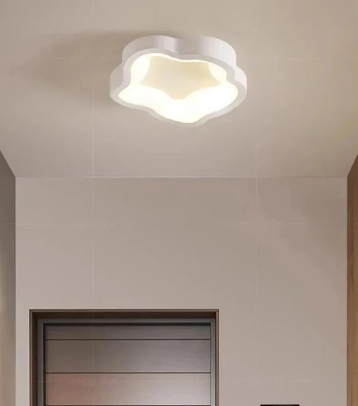 Nordic LED Ceiling Lamp