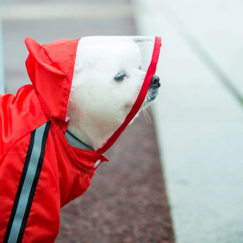 Dog Raincoat