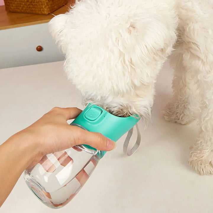 Pet portable water bottle