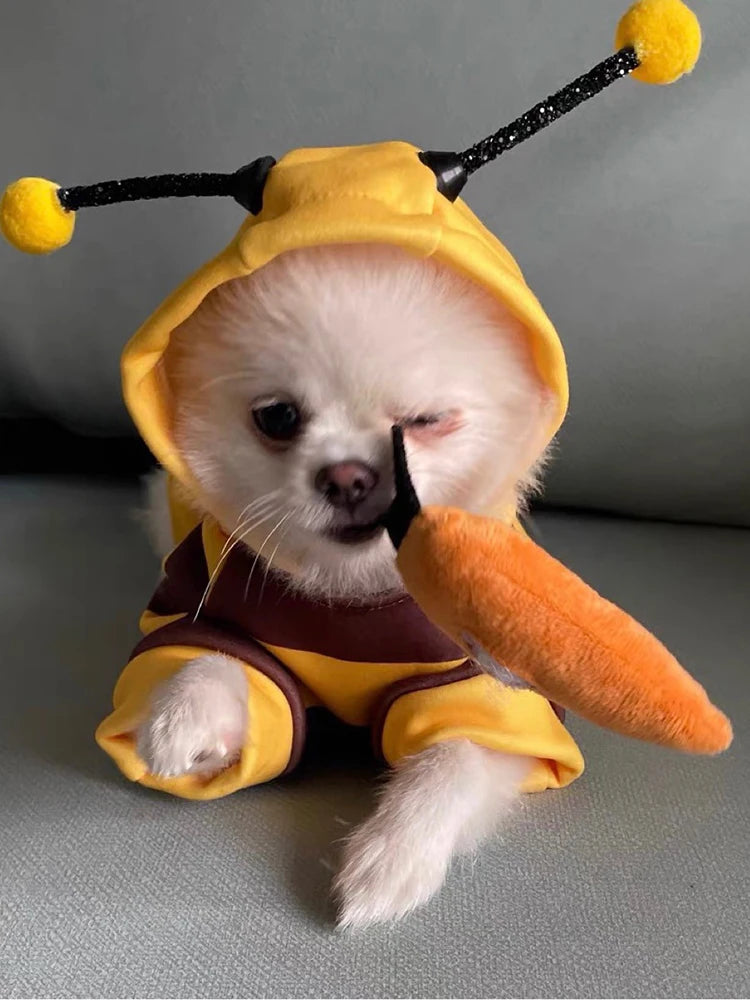 Hoodie Bees Pet Clothes