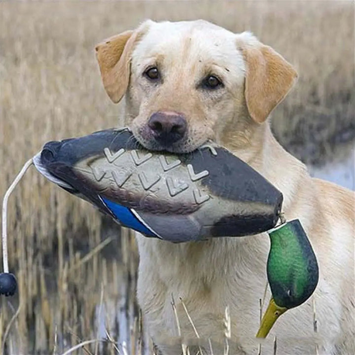 Duck Bumper Toy For Dog Training