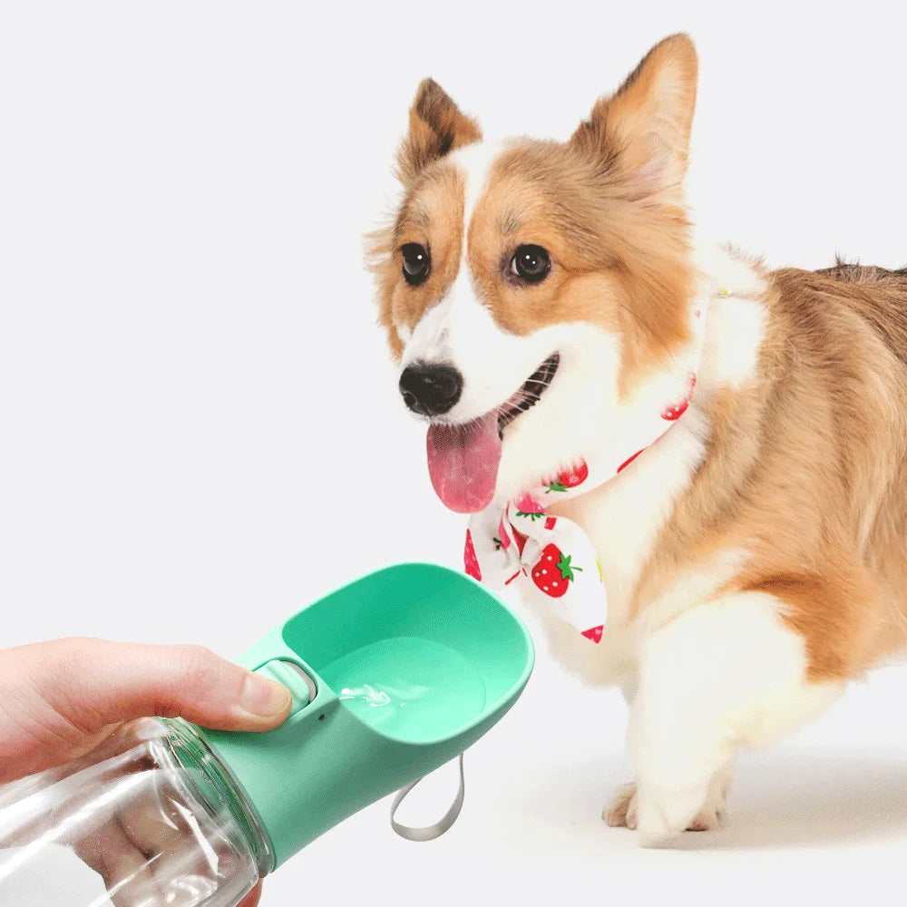 Pet portable water bottle