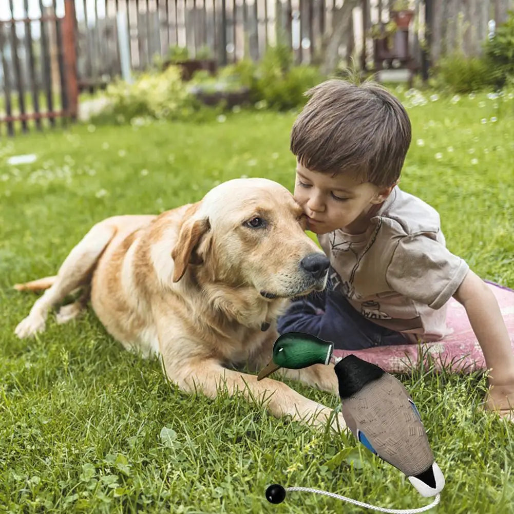 Duck Bumper Toy For Dog Training