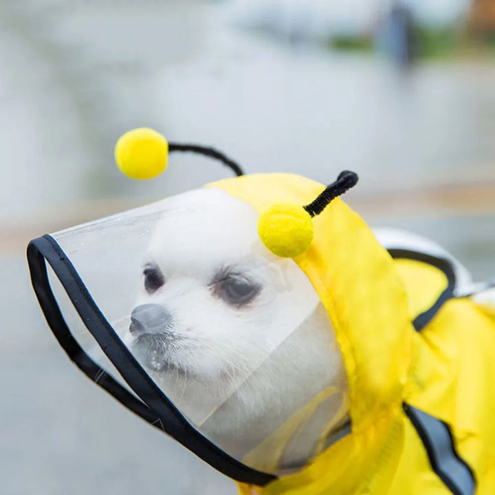 Dog Raincoat