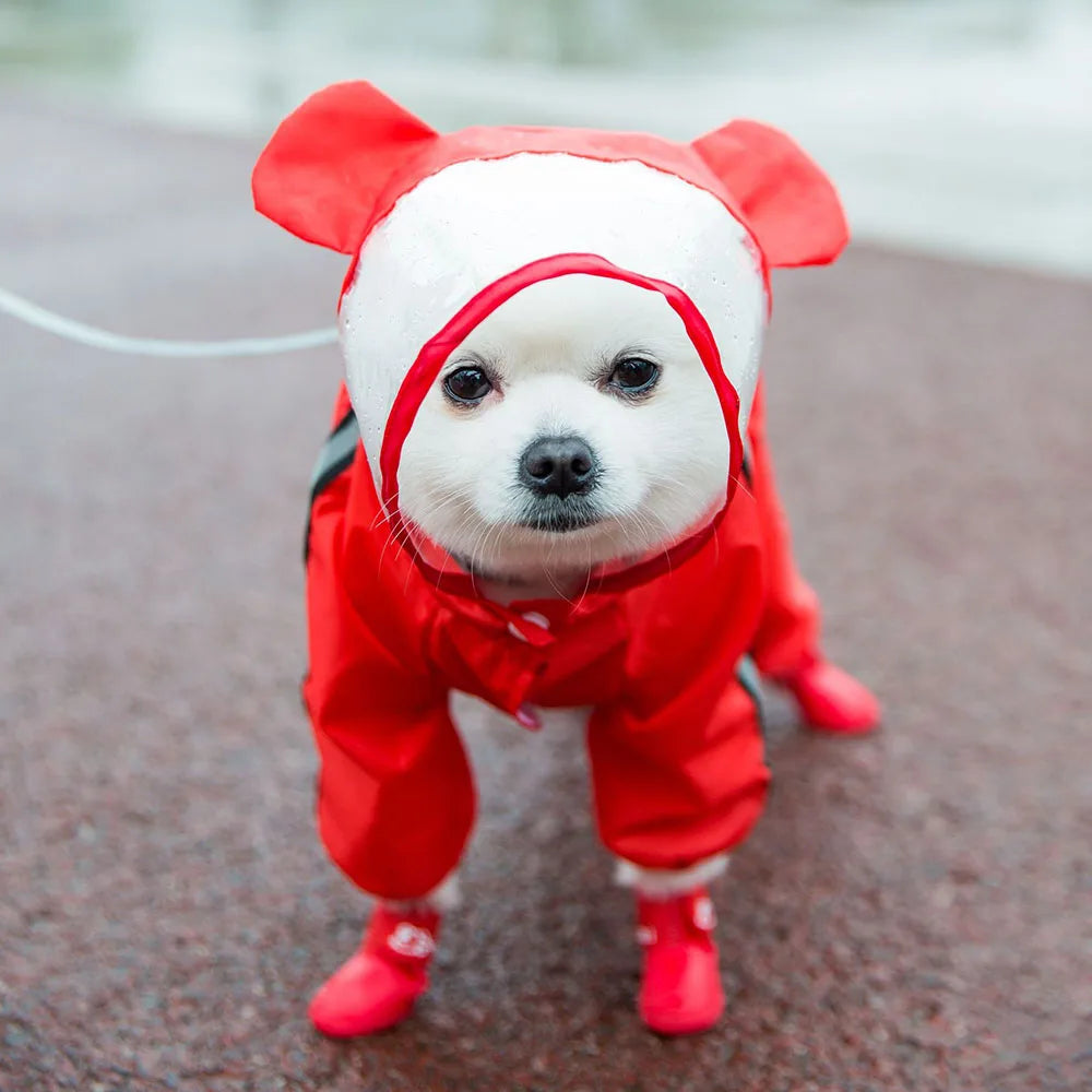 Dog Raincoat