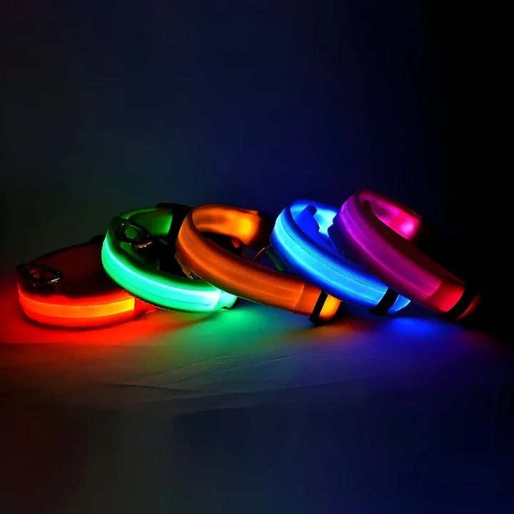 LED Safety Dog Collar