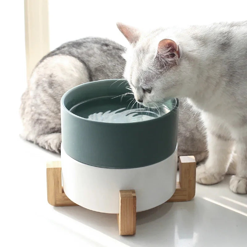 Ceramic Pet Feeding Bowl