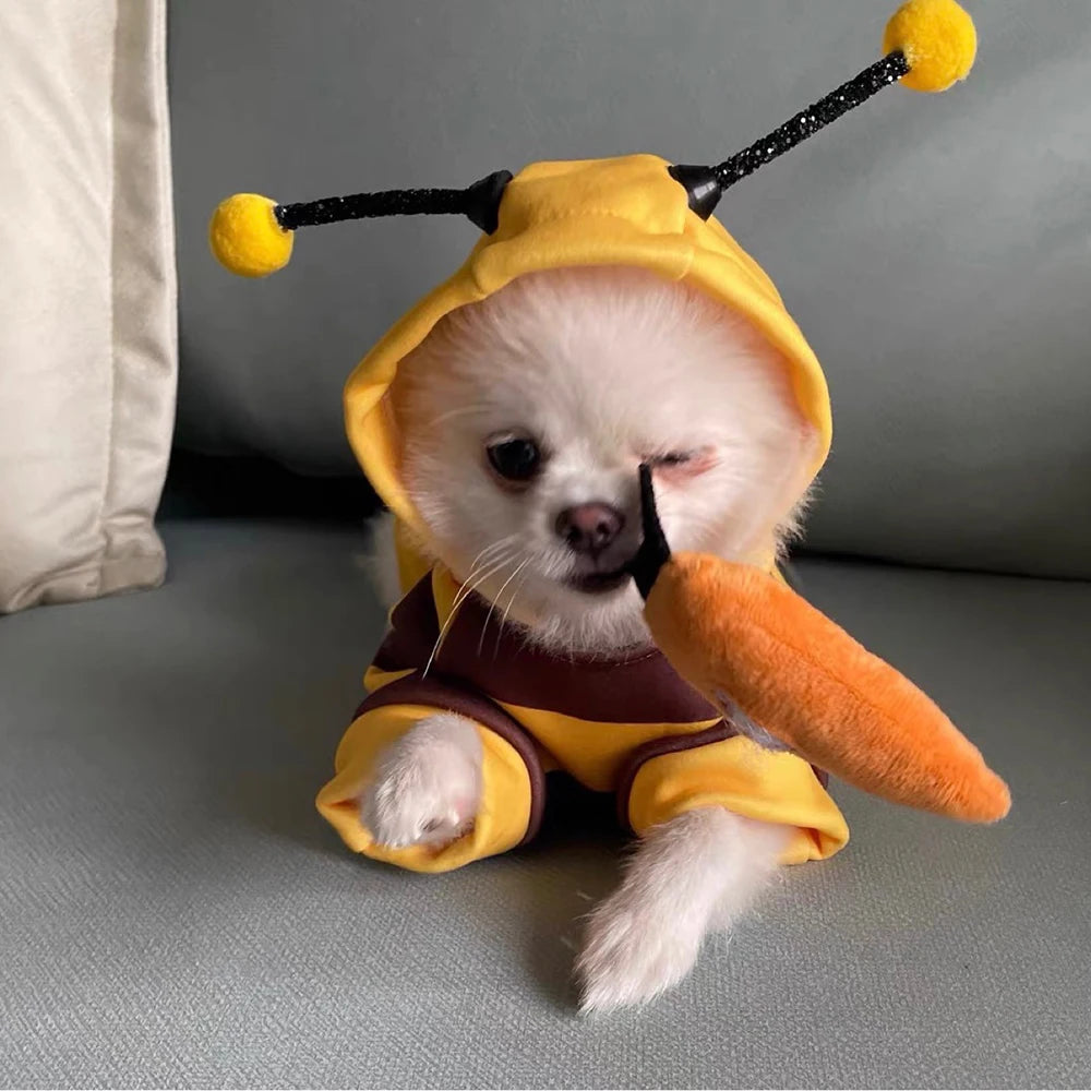 Hoodie Bees Pet Clothes