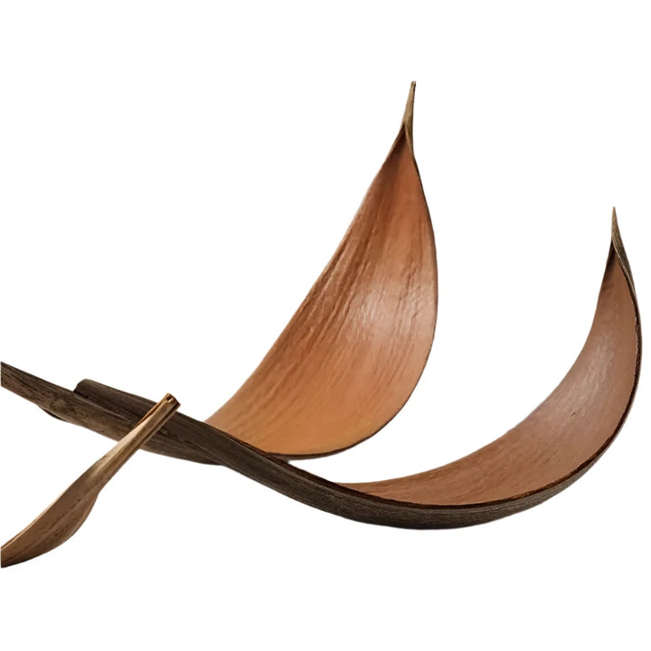 Creative Natural Cocoa Leaf Plate