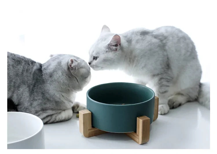 Ceramic Pet Feeding Bowl