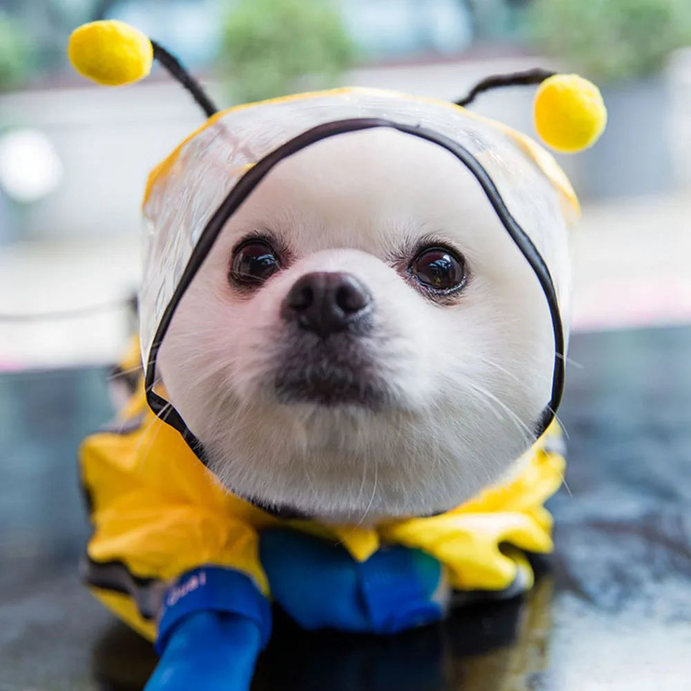 Dog Raincoat