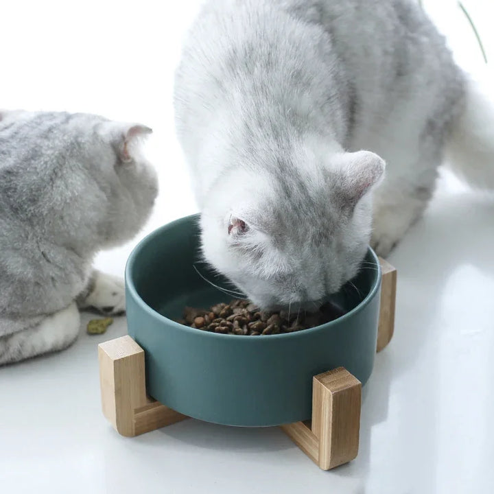 Ceramic Pet Feeding Bowl