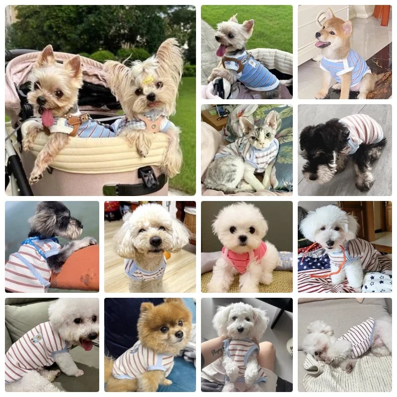 Cute Pet Vest Striped Dog Clothes