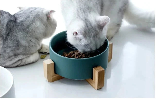 Ceramic Pet Feeding Bowl