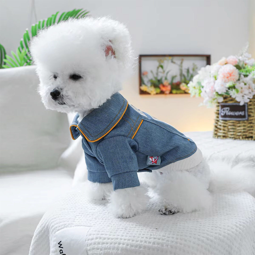 Rockstar Denim Dog Jacket