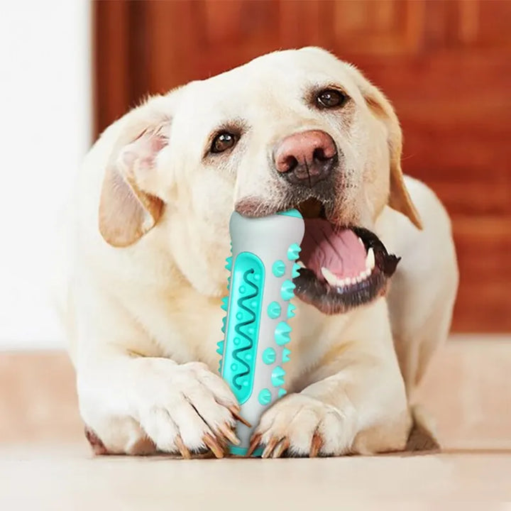 Dog Toy Teeth Cleaning Bone