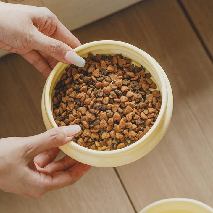 Ceramic Elevated Pet Bowl