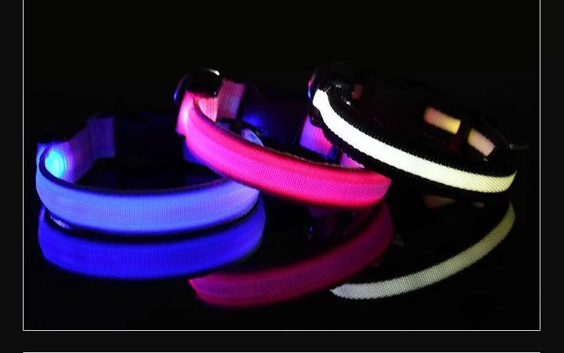 LED Safety Dog Collar