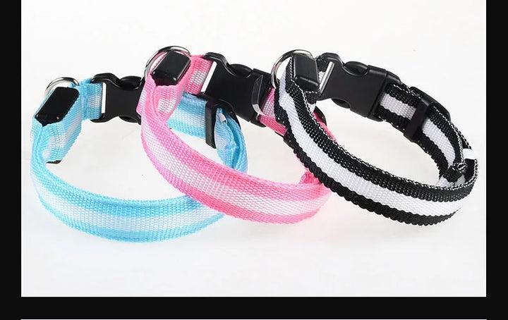 LED Safety Dog Collar