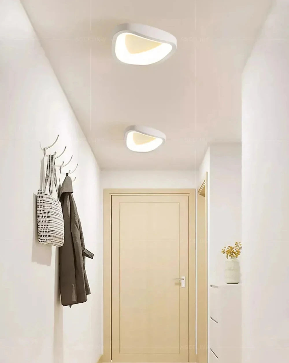 Nordic LED Ceiling Lamp