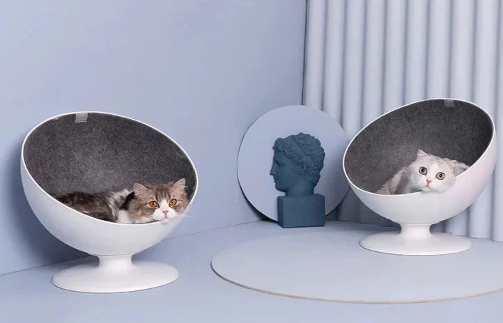 Rotating Cat Bed