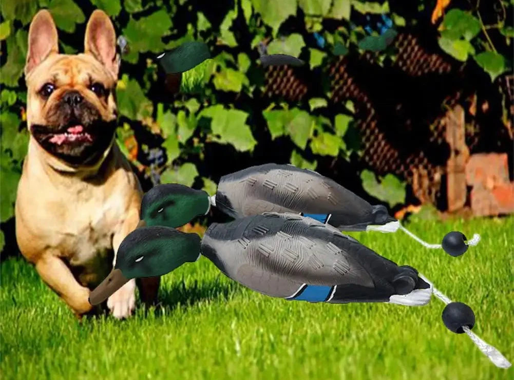 Duck Bumper Toy For Dog Training