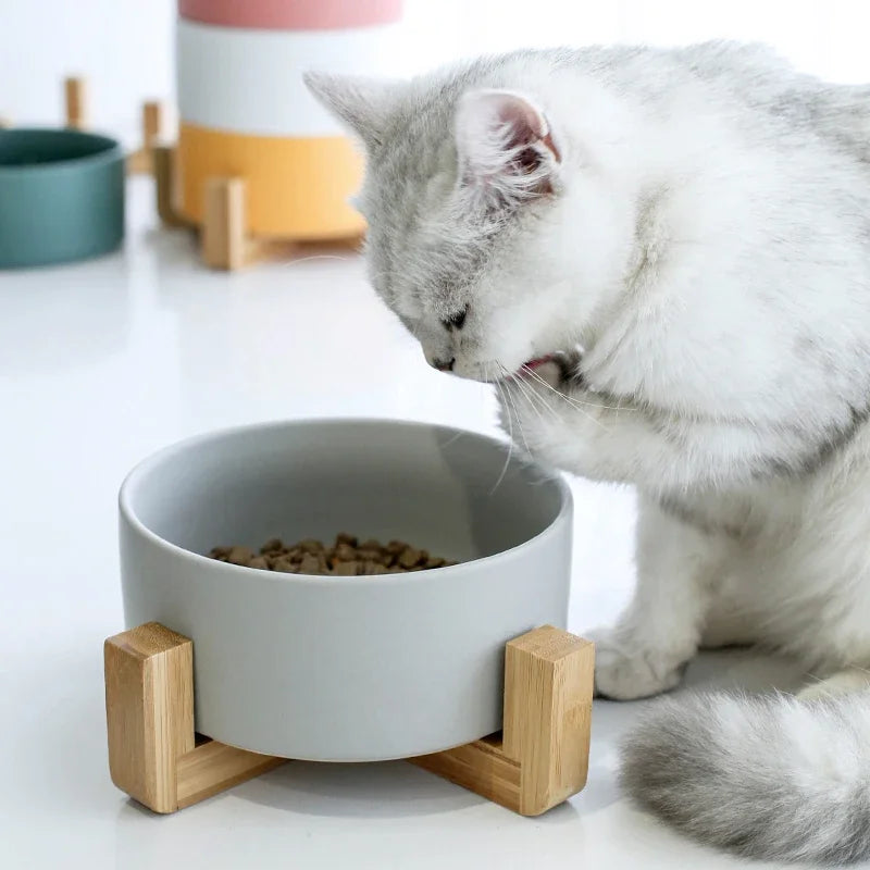 Ceramic Pet Feeding Bowl