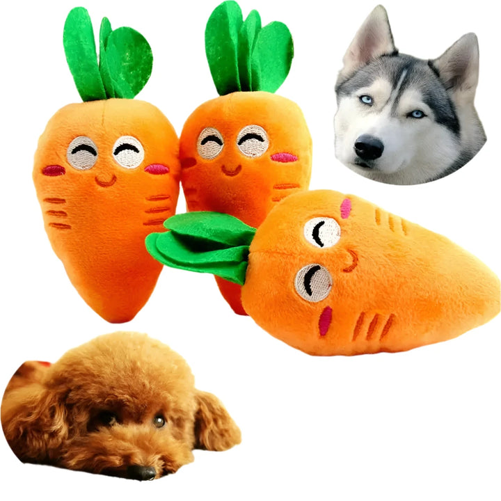 Carrot Pet Toy